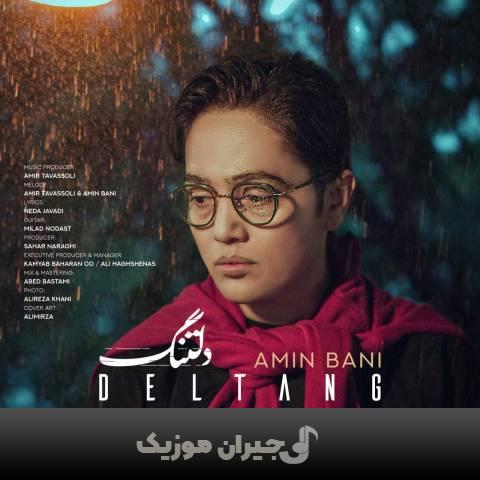 دانلود آهنگ دلتنگ امین بانی دانلود آهنگ دلتنگ امین بانی