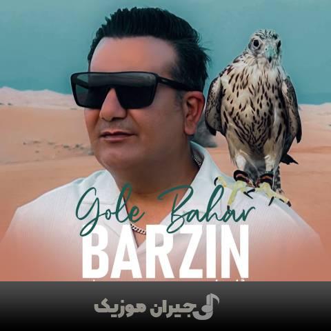 دانلود آهنگ گل بهار برزین