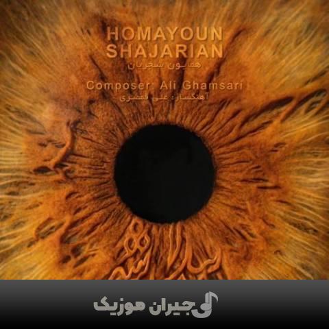 دانلود آهنگ بیدار شو همایون شجریان