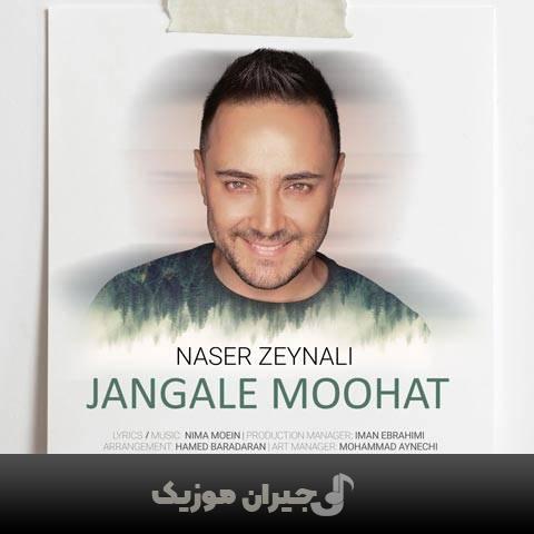 دانلود آهنگ جنگل موهات ناصر زینعلی