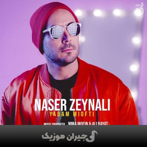 دانلود آهنگ یادم میفتی ناصر زینلی