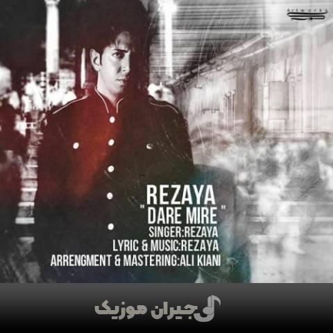 دانلود آهنگ داره میره رضایا