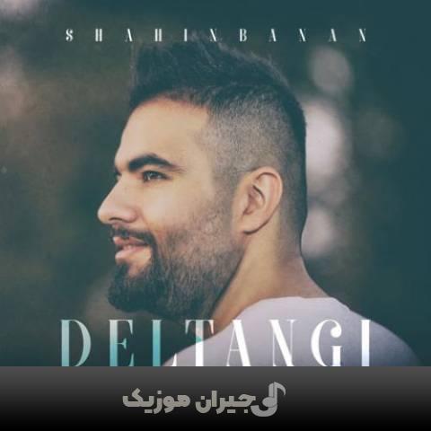 دانلود آهنگ دلتنگی شاهین بنان دانلود آهنگ دلتنگی شاهین بنان