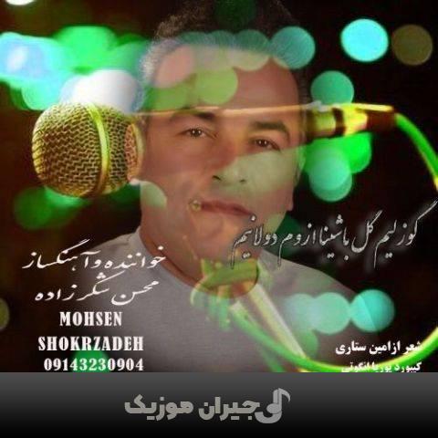 دانلود آهنگ ترکی گوزلیم گل باشینا ٱزوم دولانیم از محسن شکرزاده